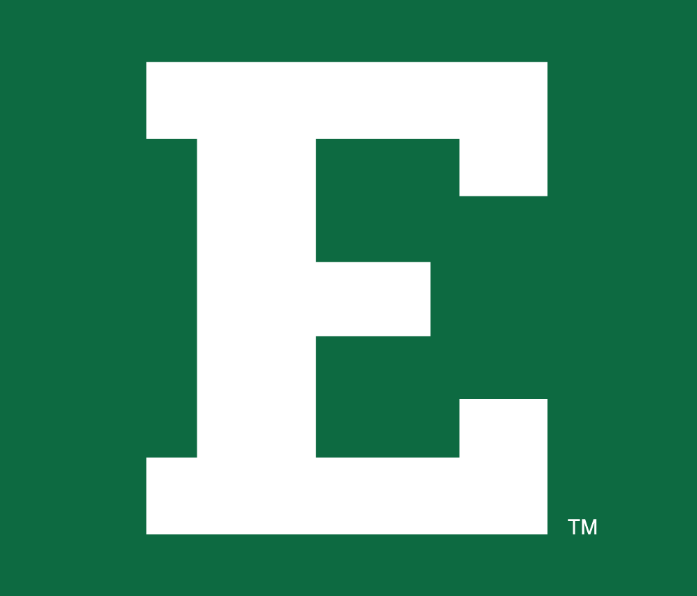 Eastern Michigan Eagles 1995-Pres Alternate Logo v2 diy iron on heat transfer